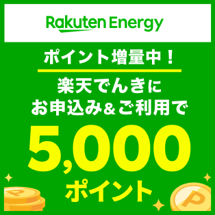 楽天でんき